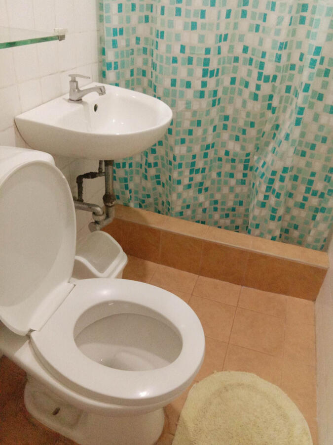 Toilet &amp; Bathroom BR1